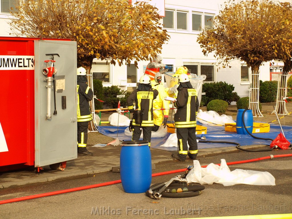 Saureaustritt Koeln Loevenich Daimlerstr P099.JPG